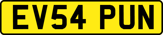 EV54PUN