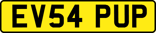 EV54PUP