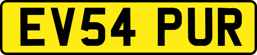 EV54PUR
