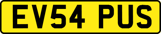 EV54PUS