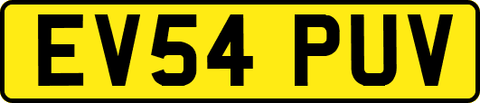 EV54PUV