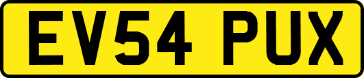 EV54PUX