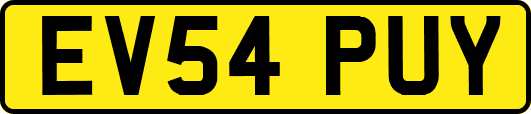 EV54PUY