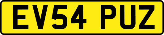 EV54PUZ
