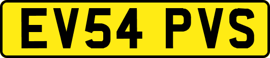 EV54PVS