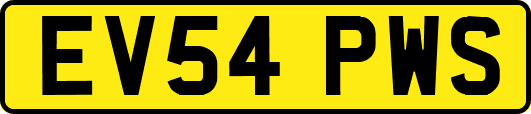 EV54PWS
