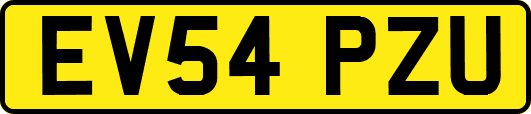 EV54PZU