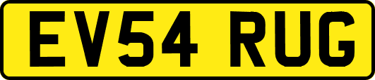 EV54RUG