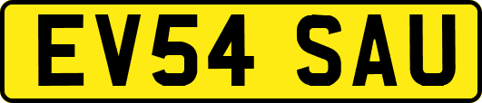 EV54SAU