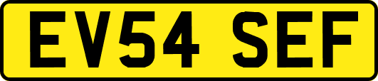 EV54SEF