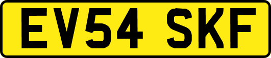 EV54SKF