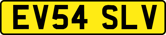 EV54SLV