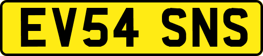 EV54SNS