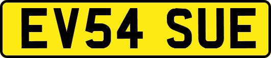EV54SUE