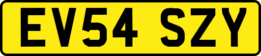 EV54SZY