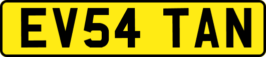 EV54TAN