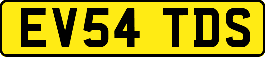 EV54TDS