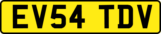 EV54TDV