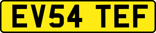 EV54TEF