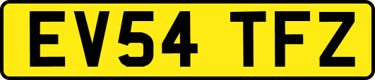 EV54TFZ
