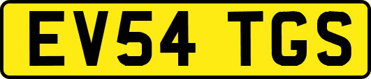 EV54TGS