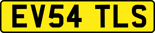 EV54TLS