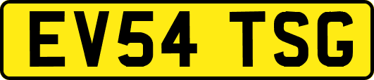 EV54TSG