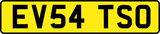 EV54TSO