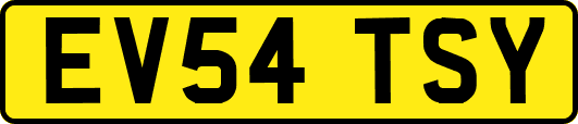 EV54TSY