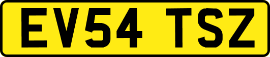 EV54TSZ
