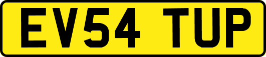 EV54TUP