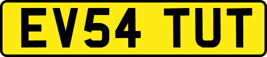 EV54TUT