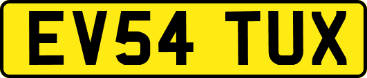 EV54TUX