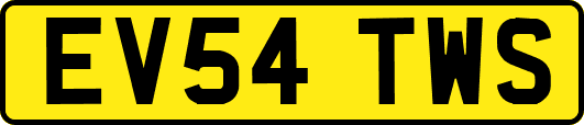 EV54TWS