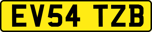 EV54TZB
