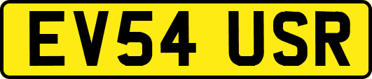 EV54USR
