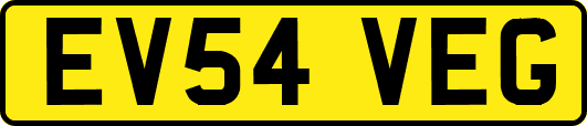 EV54VEG