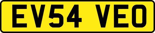 EV54VEO