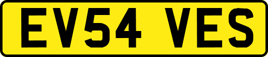 EV54VES