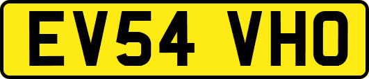 EV54VHO