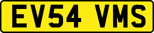 EV54VMS