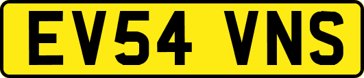 EV54VNS