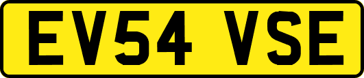 EV54VSE