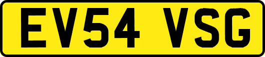 EV54VSG