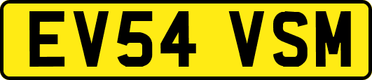 EV54VSM