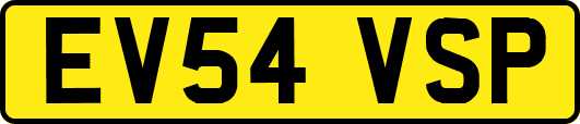 EV54VSP