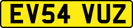 EV54VUZ