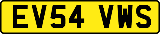 EV54VWS