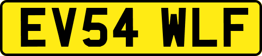 EV54WLF
