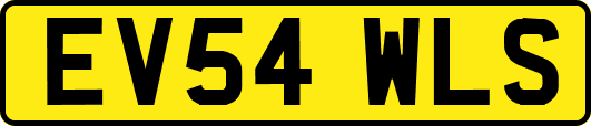 EV54WLS